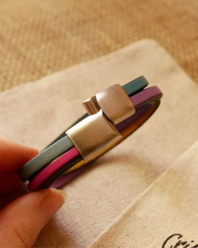 magnetische ritssluiting